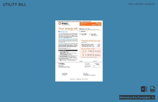 USA, New York, PSEG-Stromrechnung, Word- und PDF-Datei, 5 Seiten, Beispielvorschau